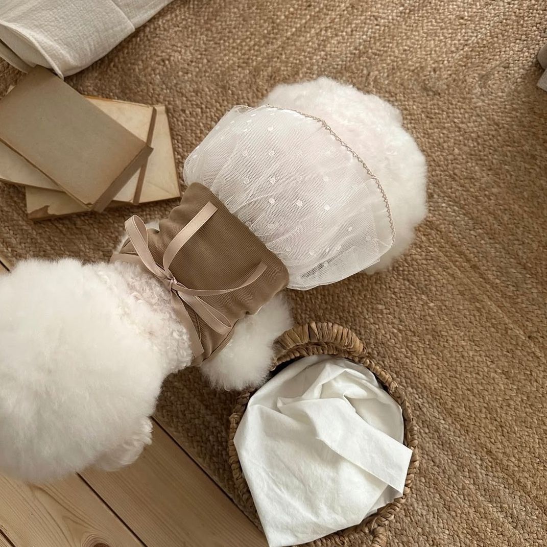 Frühlings- und Sommer-Haustier – Lace Teddy Lingerie Bewertung und Preis